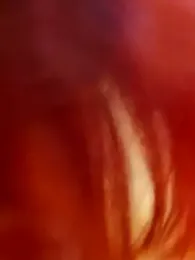 sorpresa_x stripchat stream image