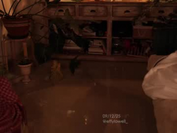 effylowell_ chaturbate stream image