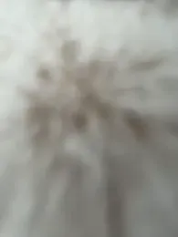 AngelinaTeller stripchat stream image