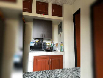 PaulinaBelush bongacams stream image