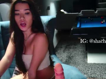 shachatte chaturbate stream image