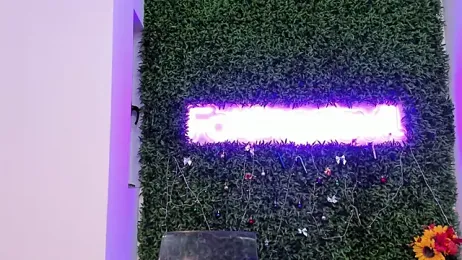 realhotfallingdevil stripchat stream image