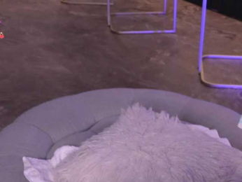 MadelineFox bongacams stream image