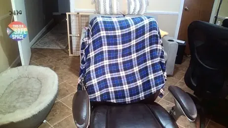 superbearboss stripchat stream image