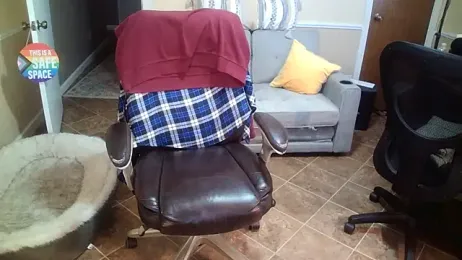 superbearboss stripchat stream image