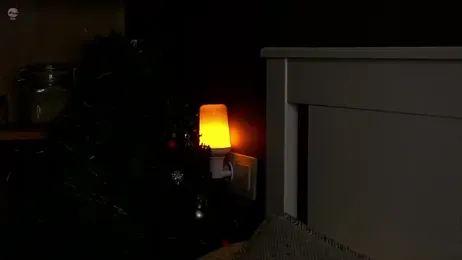 DarylBarks stripchat stream image