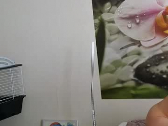 jennycutey chaturbate stream image