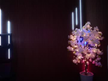 xforyoureyesonlyx chaturbate stream image