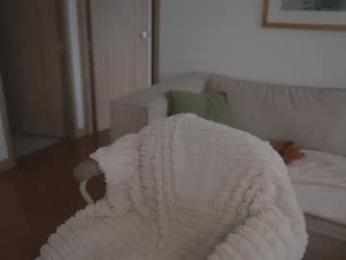 rebeccastonee chaturbate stream image, 12.01.2026 17:50