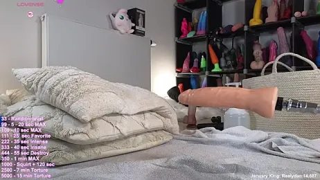 hayleex_x stripchat stream image