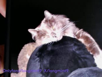 longmint96 chaturbate stream image