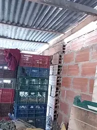 hoteder stripchat stream image