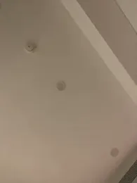 MEOW_MEO stripchat stream image, 27.01.2026 16:00