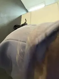 PumaShyXD stripchat stream image