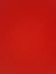 RobertoLuiz84 stripchat stream image, 06.02.2026 01:40