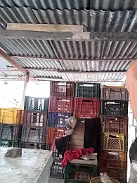 hoteder stripchat stream image