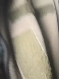 Boysex227 stripchat stream image