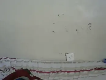 Rasta_tattooed stripchat stream image