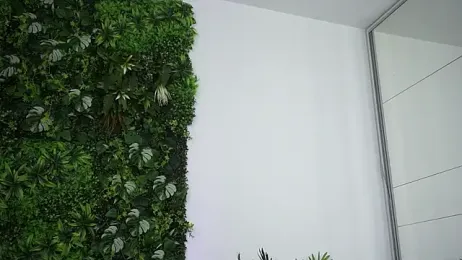 amiraroshen stripchat stream image, 24.02.2026 19:50