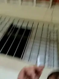 Peludo173317 stripchat stream image