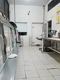 RobertoLuiz84 stripchat stream image, 13.03.2026 13:00