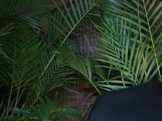 anastaxialynn camsoda stream image