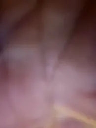 Roddog18 stripchat stream image, 27.03.2026 00:00