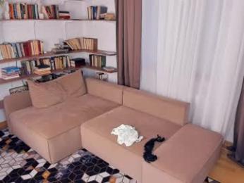 angelinahass chaturbate stream image