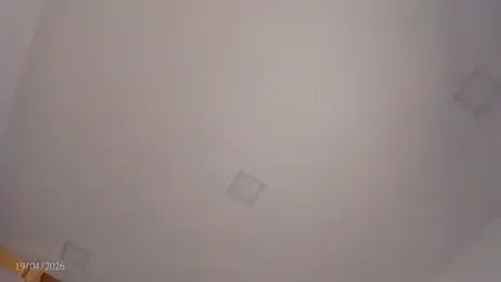 Bylie_Hills stripchat stream image, 19.04.2026 22:10