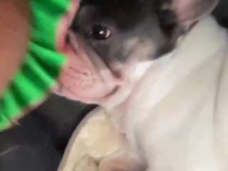 ilovesxge camsoda stream image