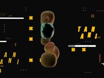 Taanni bongacams stream image, 15.06.2026 02:30