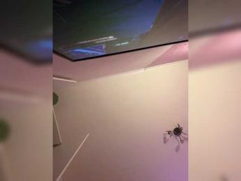 SHAWTY420 bongacams stream image, 11.08.2026 13:40