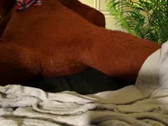 bella__donne chaturbate stream image, 13.09.2026 12:50
