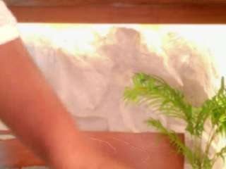 alison-mooon camsoda stream image, 15.09.2026 22:30